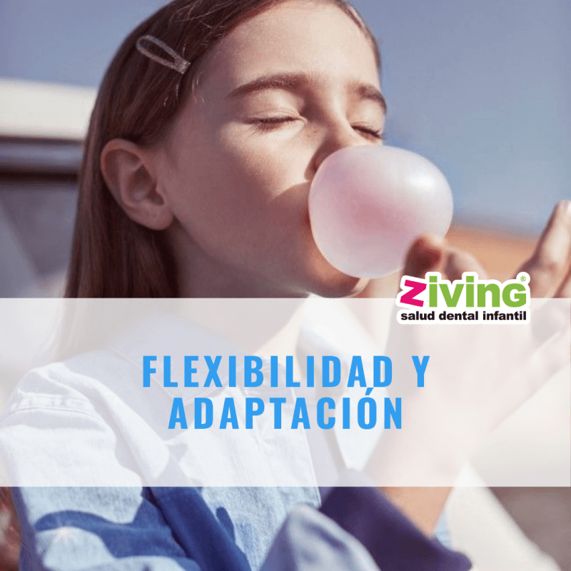 Flexibilidad y adaptación